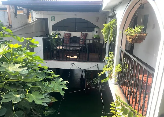 Hotel Alma Maya