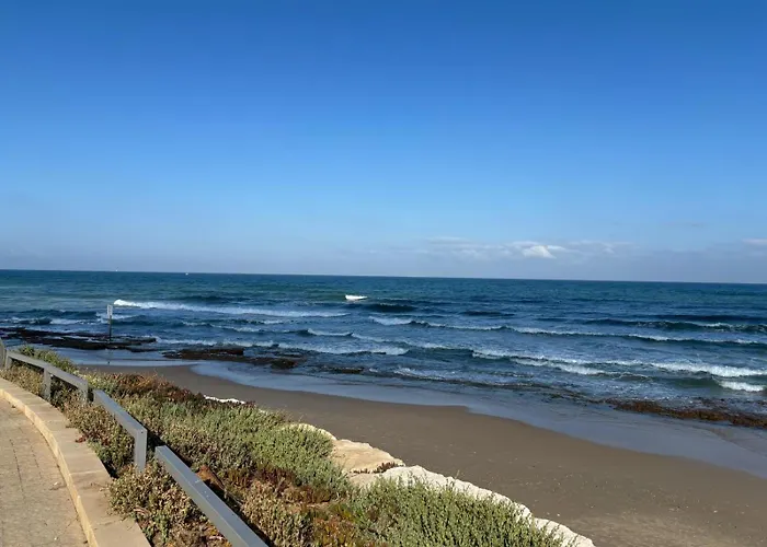 Sea Sun Sport
