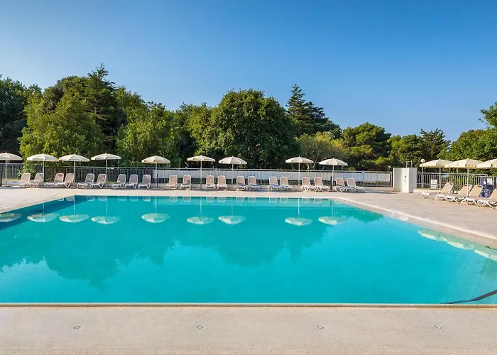 Arena Hotel Holiday