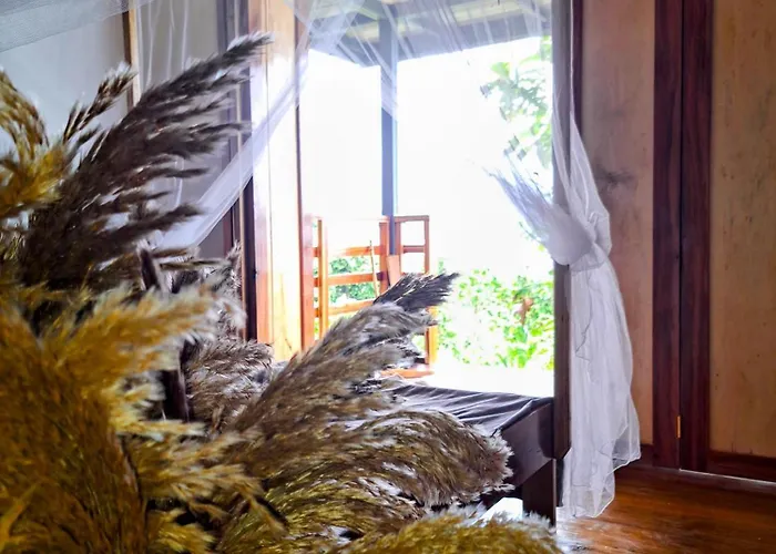 The View - Jungle Lodges - Port Barton