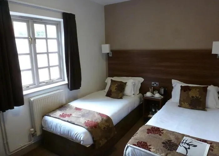 The Roebuck Alcester