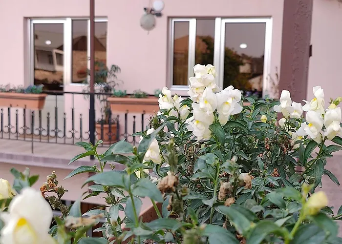 Areg Hotel