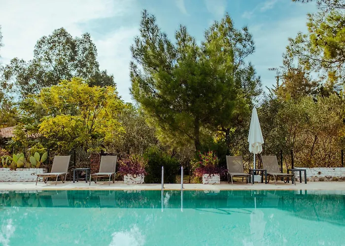 Eski Yeni Tatil Evi Olympos