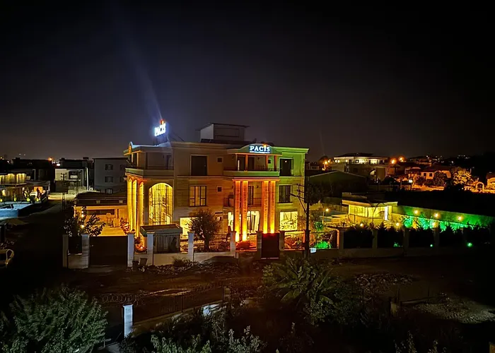 Pacis Antakya