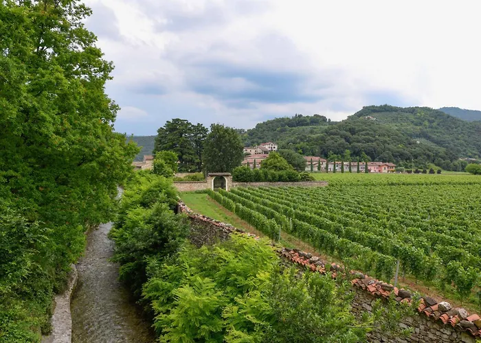 Il Vigneto