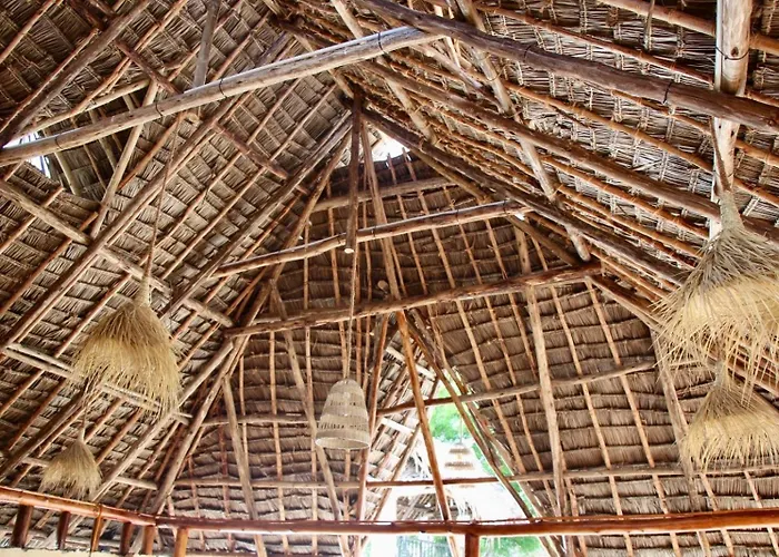 Zanzigo