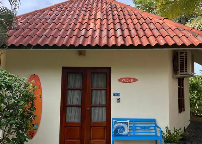 La Casa de Pucha Surf History&Tropical Stay