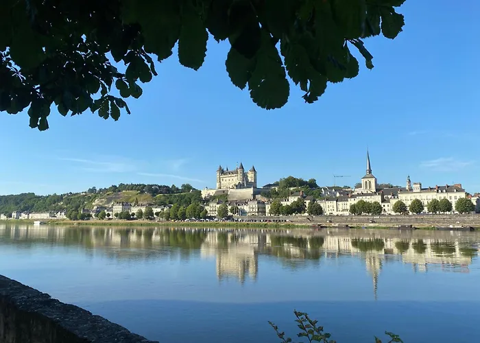 Logis Hôtel Loire Hotel - Les Cocottes Restaurant