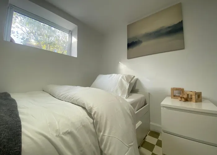 Choice Downtown 2Br Lower Suite & 3Br Duplex