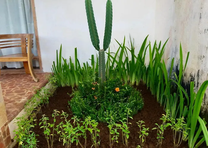 Bale Sebaya - Bungalows Cafe Nature