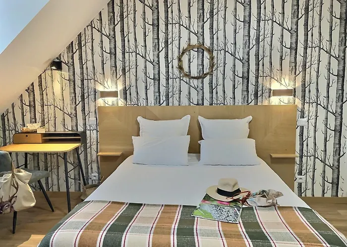 Logis Hôtel du Cygne
