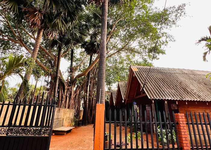 Cool Banyan Cabana