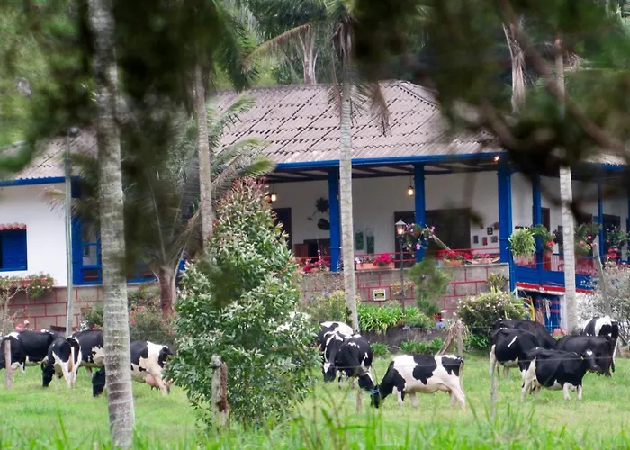 Reserva Guadalajara - Authentic Farm In Cocora Valley