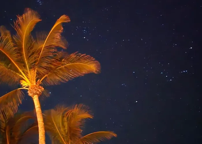 Paradise Awaits You At Key Colony Beach