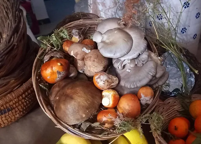 Hotel Ristorante Sturno