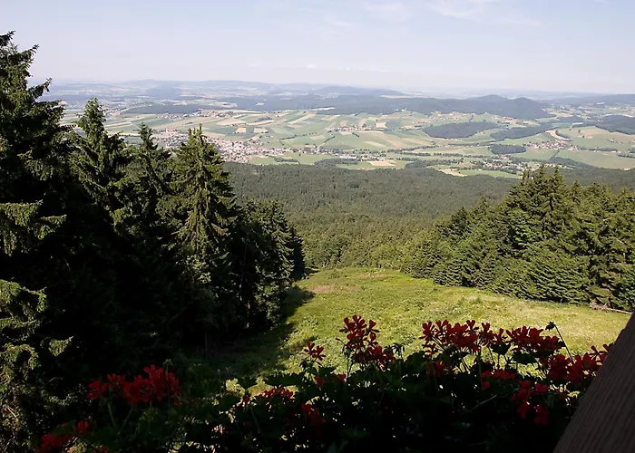 Schönblick Hohenbogen