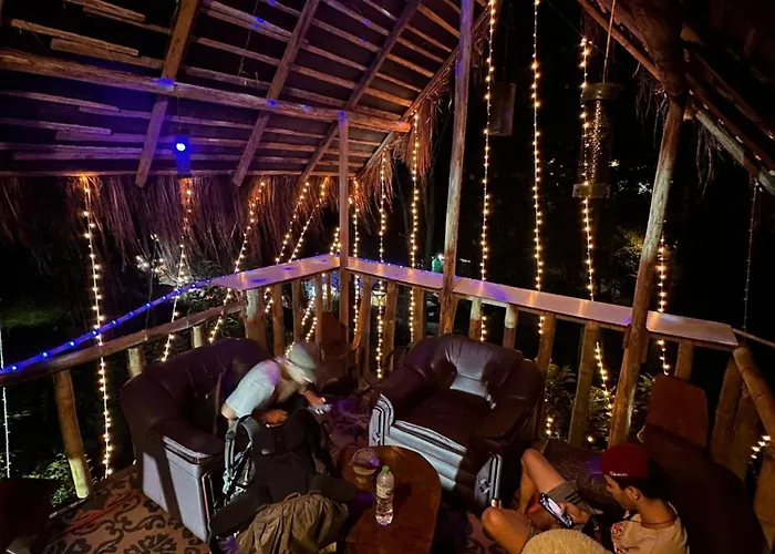 Hostal Tree House