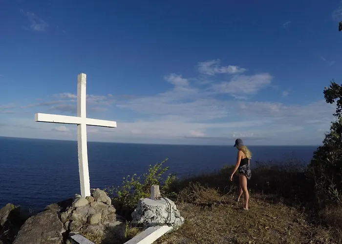 Liberty'S Lodge And Diving - Apo Island