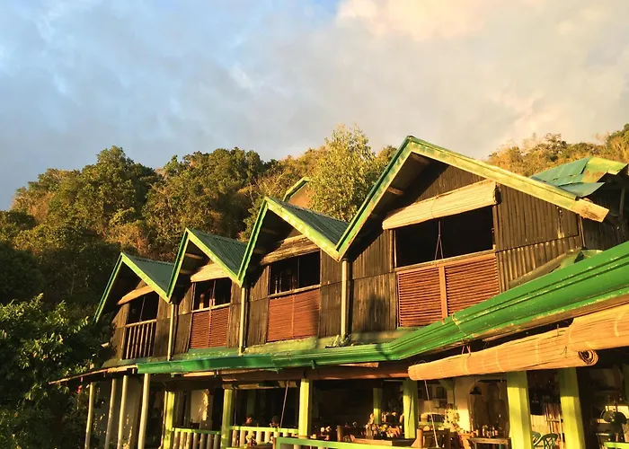 Liberty'S Lodge And Diving - Apo Island