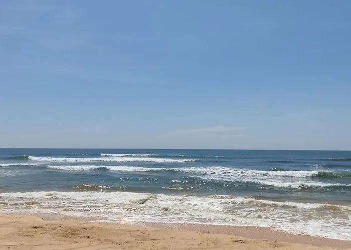 Haus am Meer Wilde Ananas
