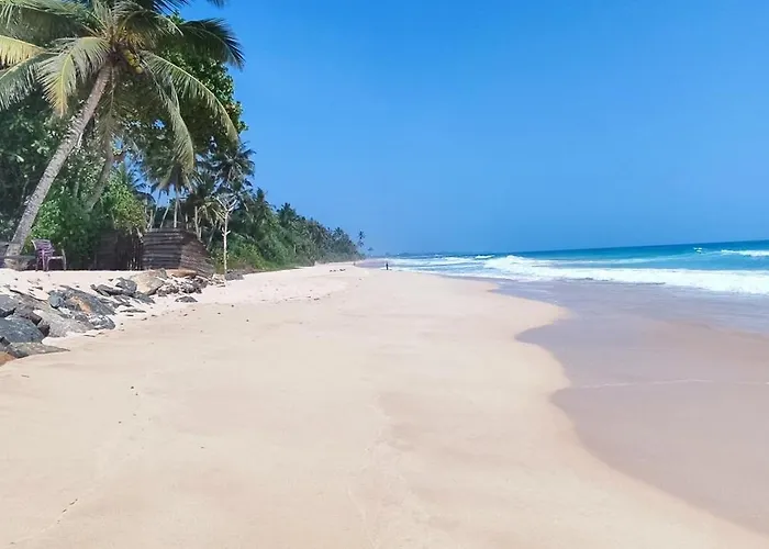 Haus am Meer Wilde Ananas