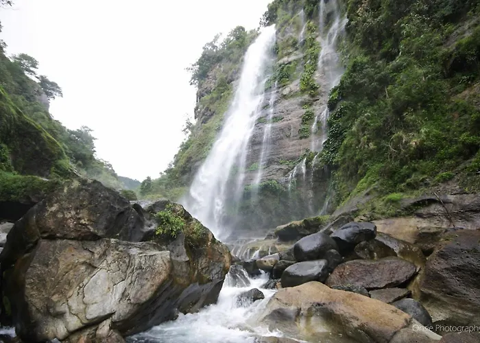 Sagada Younganaut Lodge
