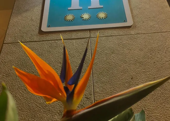 Hotel Stella Maris