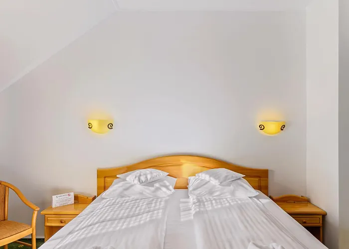 Hotel Casa Viorel Jacuzzi & Saunas