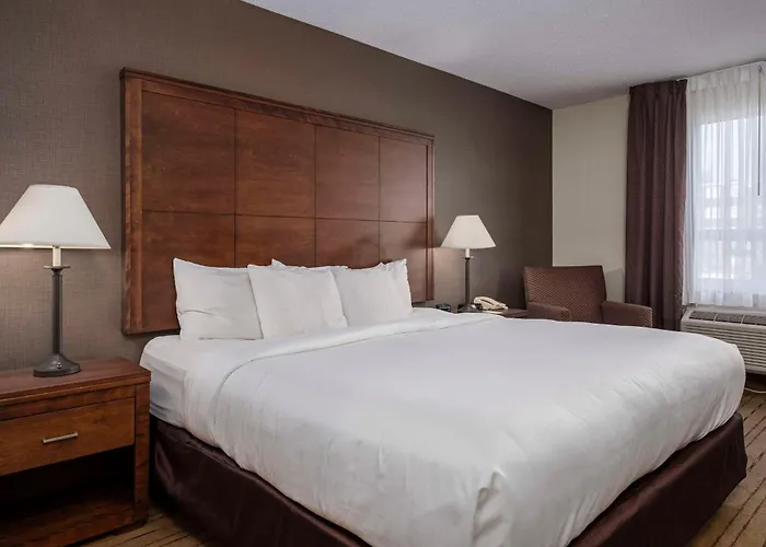 Comfort Inn - Gander