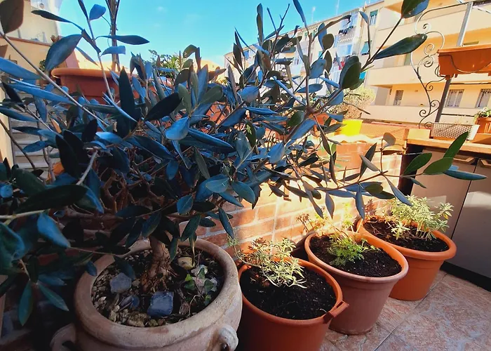 La Casina Lungomare Di Fabi Livorno