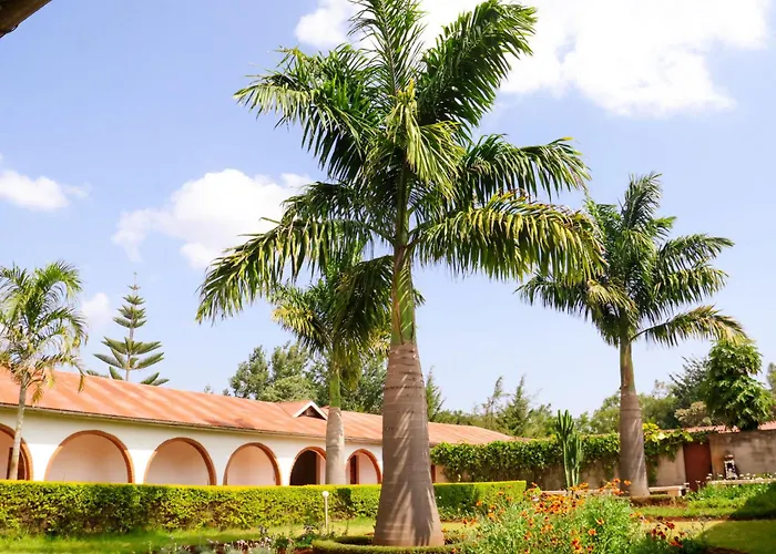 Stc.Safari Lodge