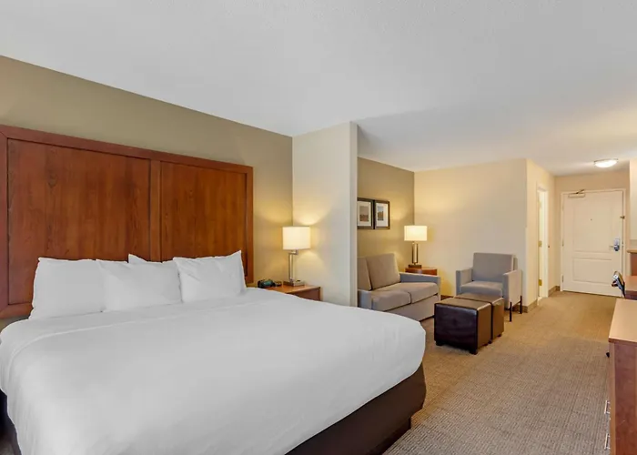 Comfort Inn & Suites Dover Near Speedway