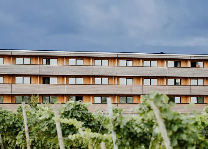 Sonnenhotel Weingut Roemmert Spa Und Wellness