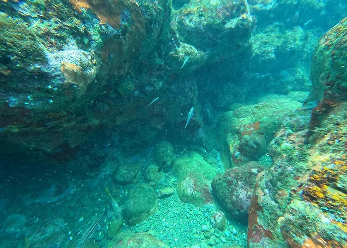 Hotel Bahía Aguacate