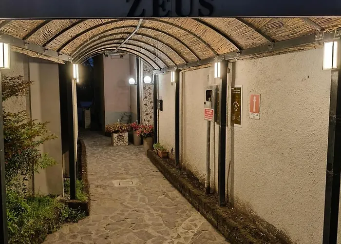 Hotel Zeus