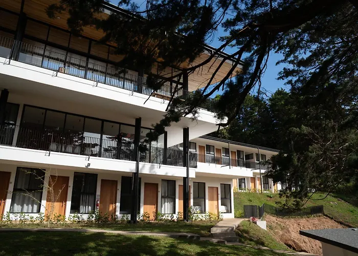 Hotel con Corazon Monteverde