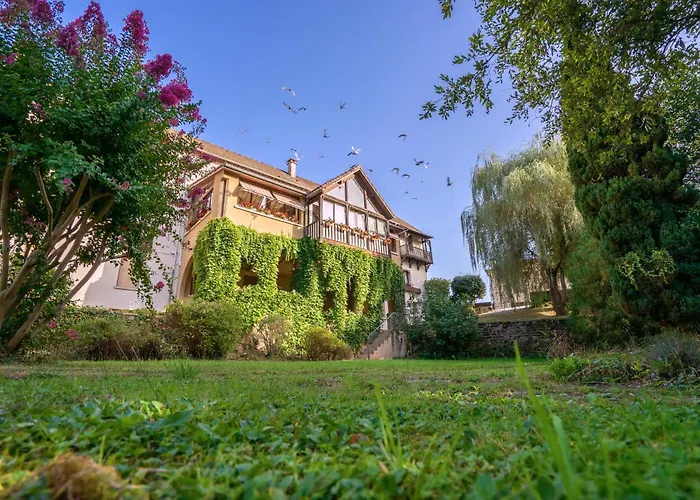 Bergerie du Château - Lacapelle Marival