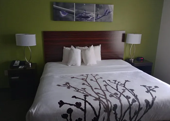 Sleep Inn & Suites Oakley I-70