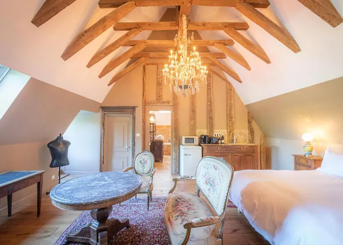 Le Château du Sollier - Charme calme et confort climatisation à 5mn du peage