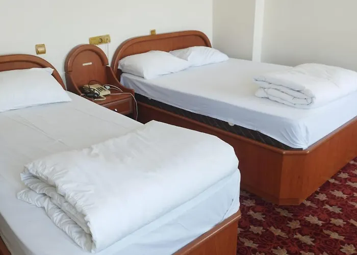Hotel Birkent