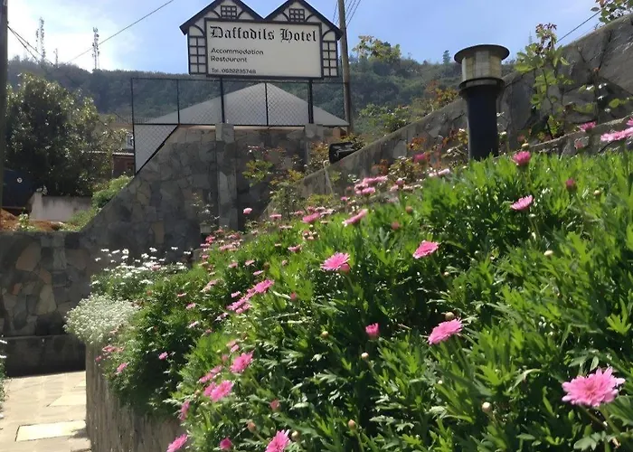 Daffodils Hotel Nuwara Eliya