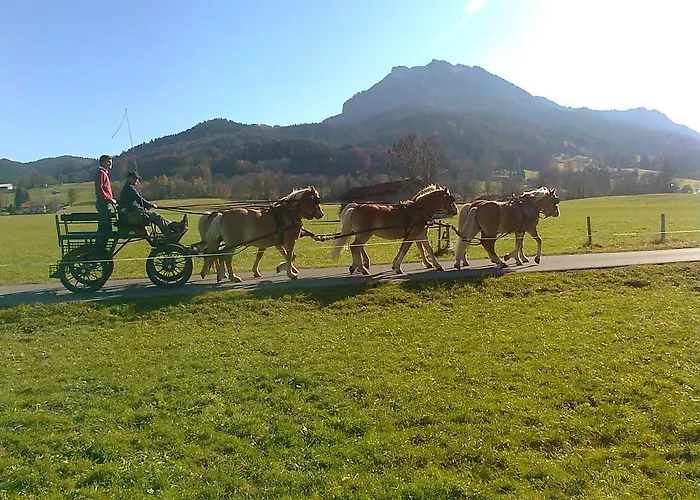 Sonnenkaiser