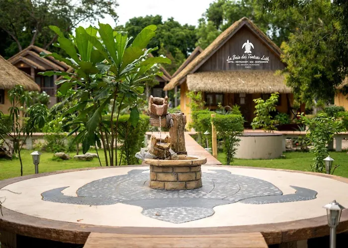 La Baie Des Tortues Luth