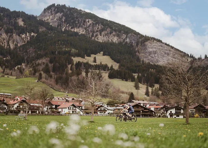 Hotel-Gasthof Der Wiesengrund
