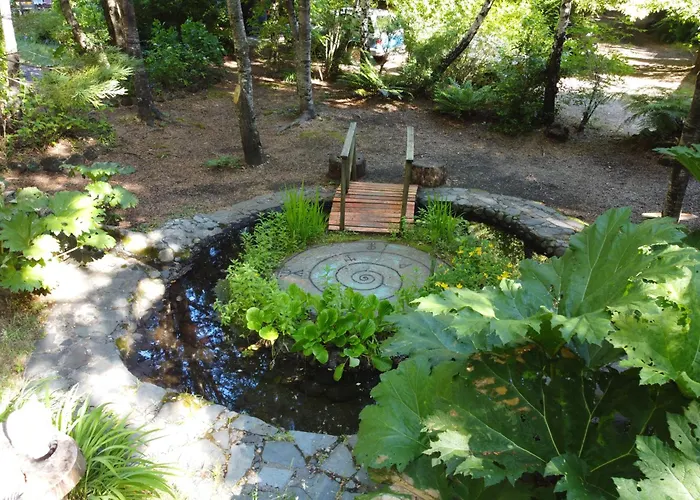 Pucón Volcano Forest SPA