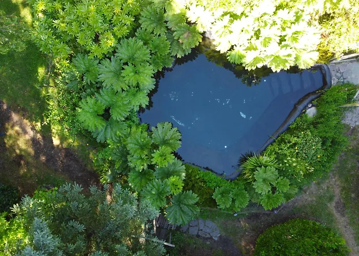 Pucón Volcano Forest SPA
