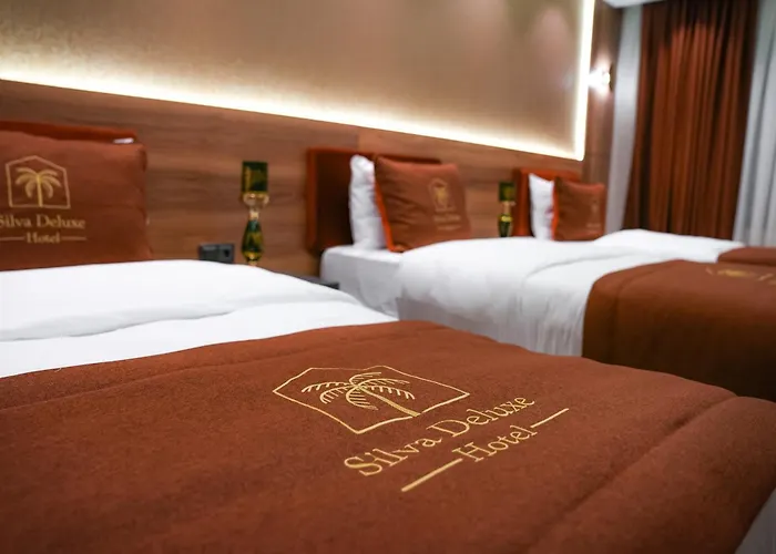 Silva Deluxe Hotel