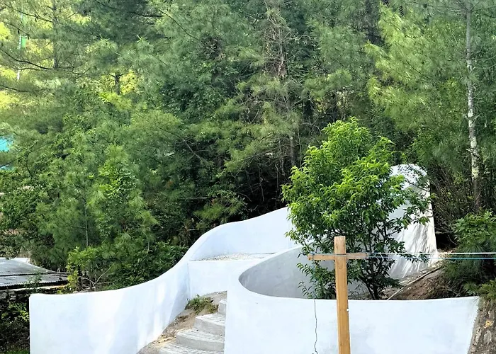 Dzi Pema