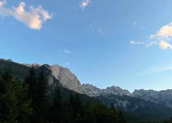 Bujtina Aroma E Malit