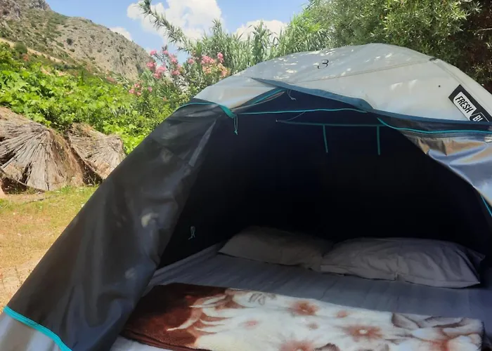 Waveside Camping
